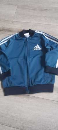 Adidas originals bluza