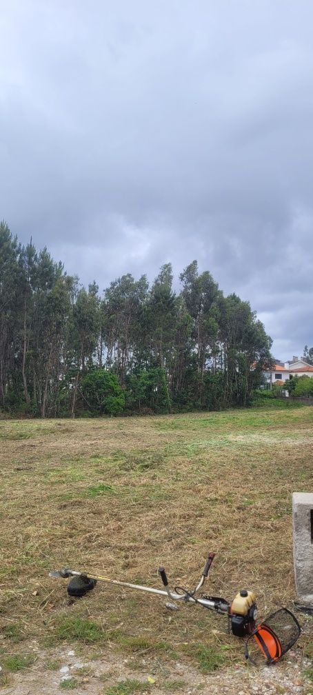Manutenção de jardins/Limpeza de terrenos