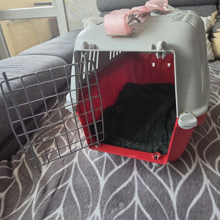 Transporter materiałowy plus zwykły