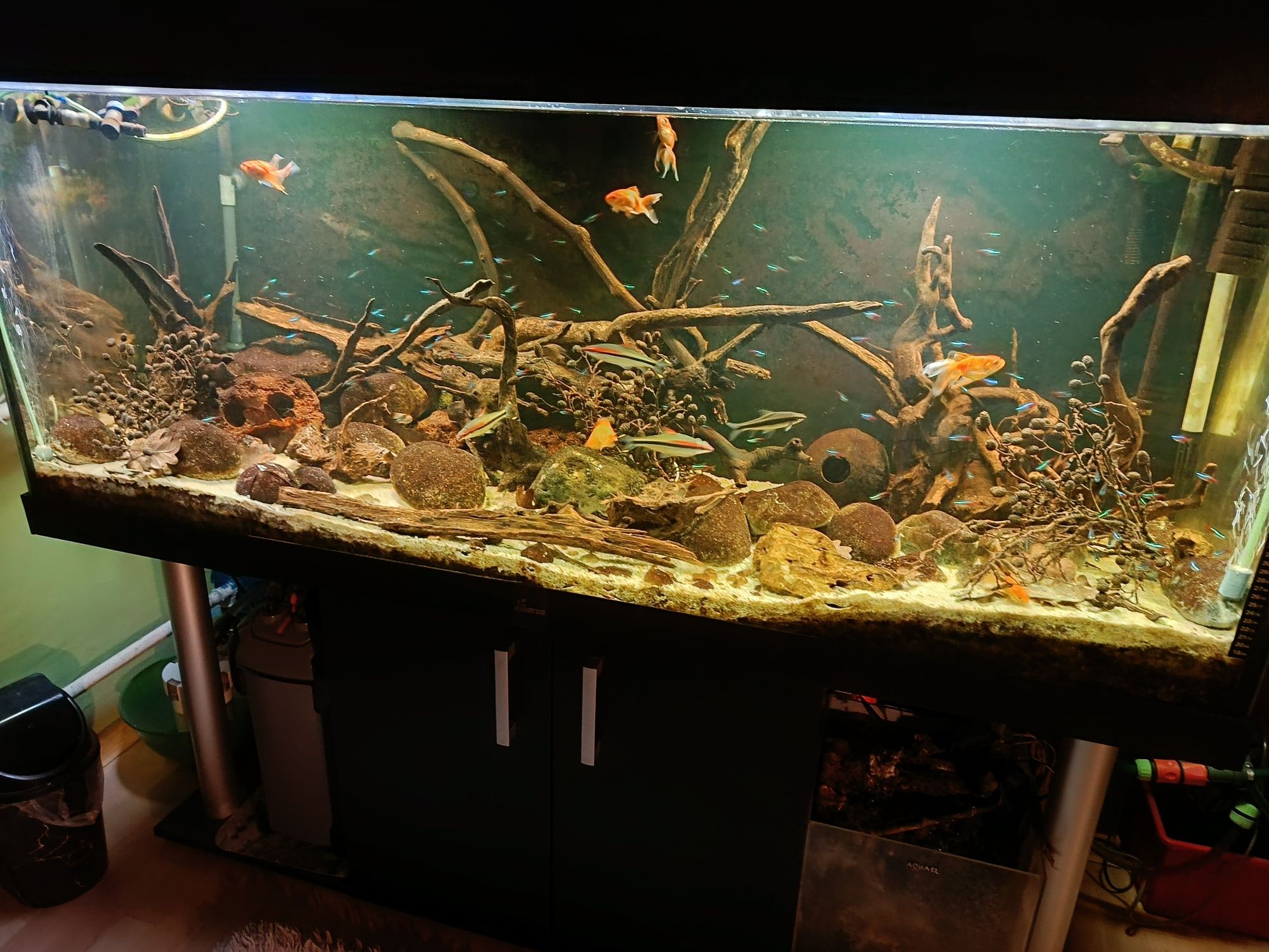 Akwarium Diverse 150/60/60