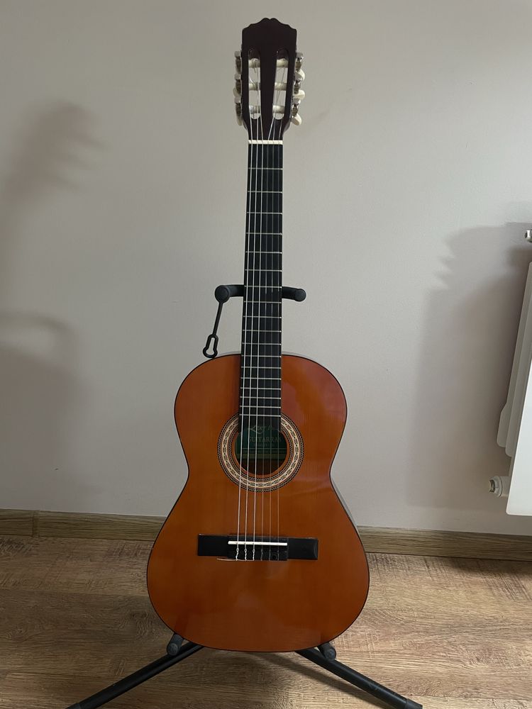 Gitara Ever Play Model: EV-121