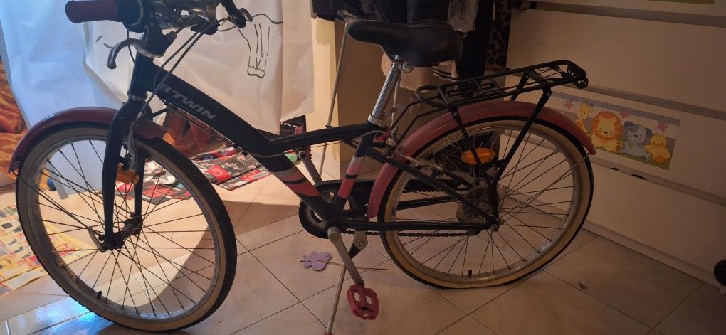 Bicicleta Adulto