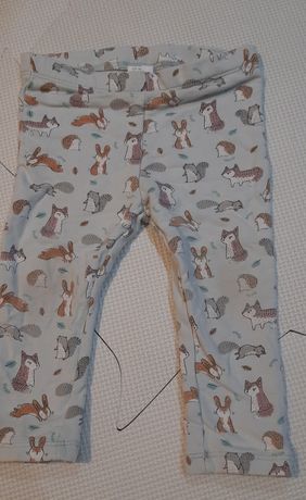 H&M legginsy spodenki zwierzątka leśne 80 grubsze printy liski