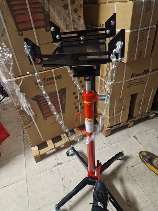 Macaco de Fossas novo