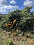 Scott ransom 900 tuned enduro.          (Preço negociável )