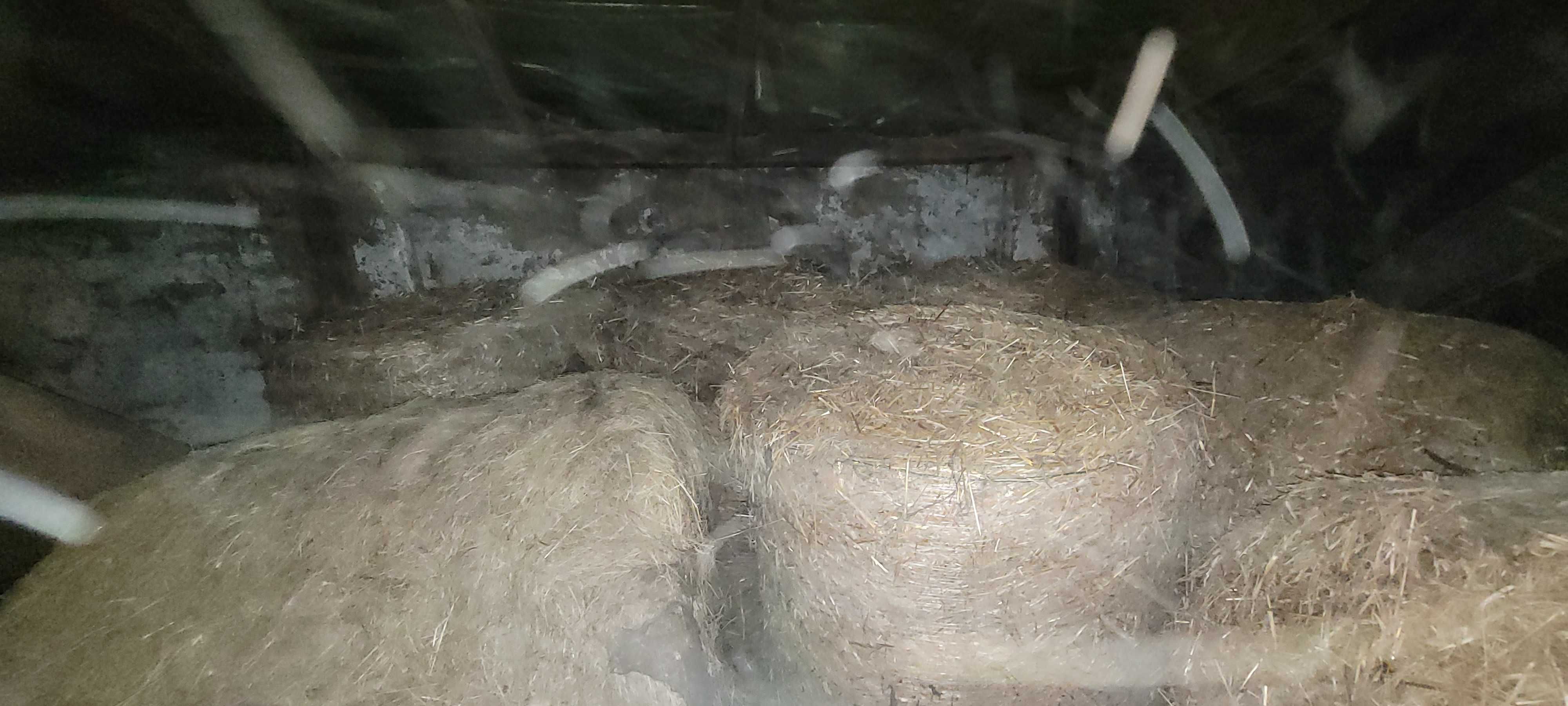 Słoma, czysta w różnych ilościach ATRAKCYJNA CENA