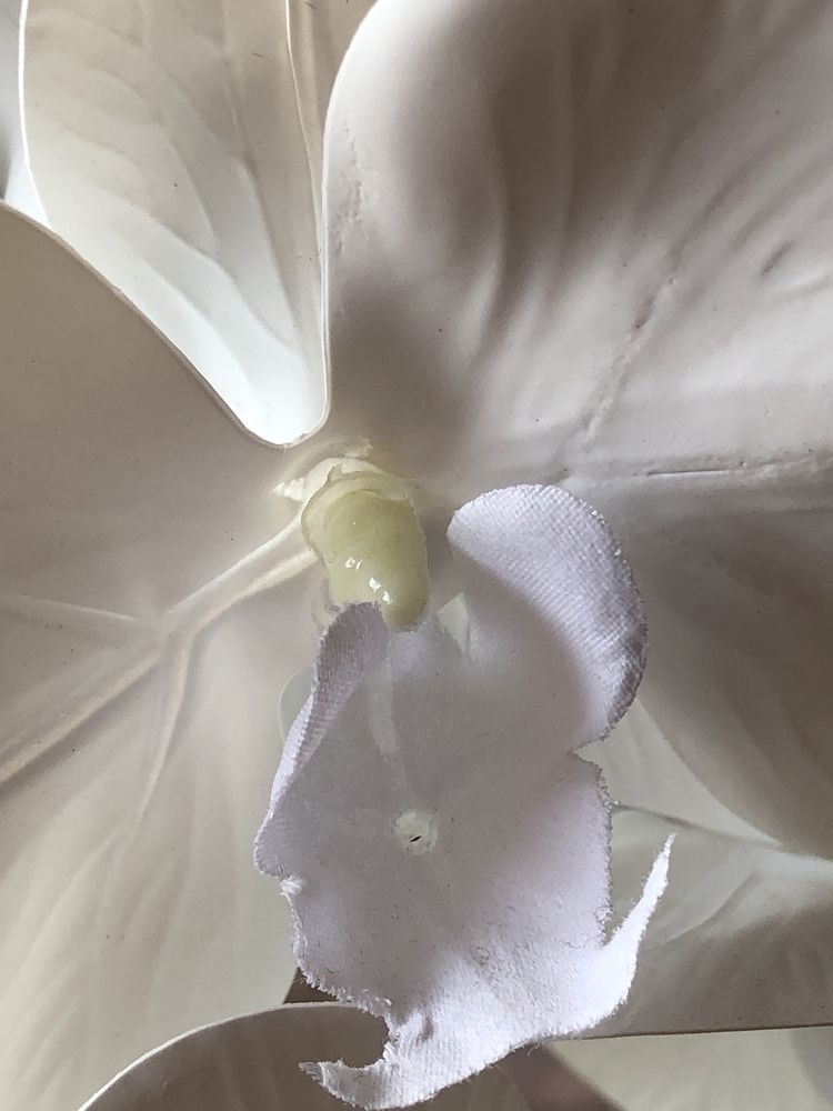Латексная орхидея VIP .Высота 60 см.