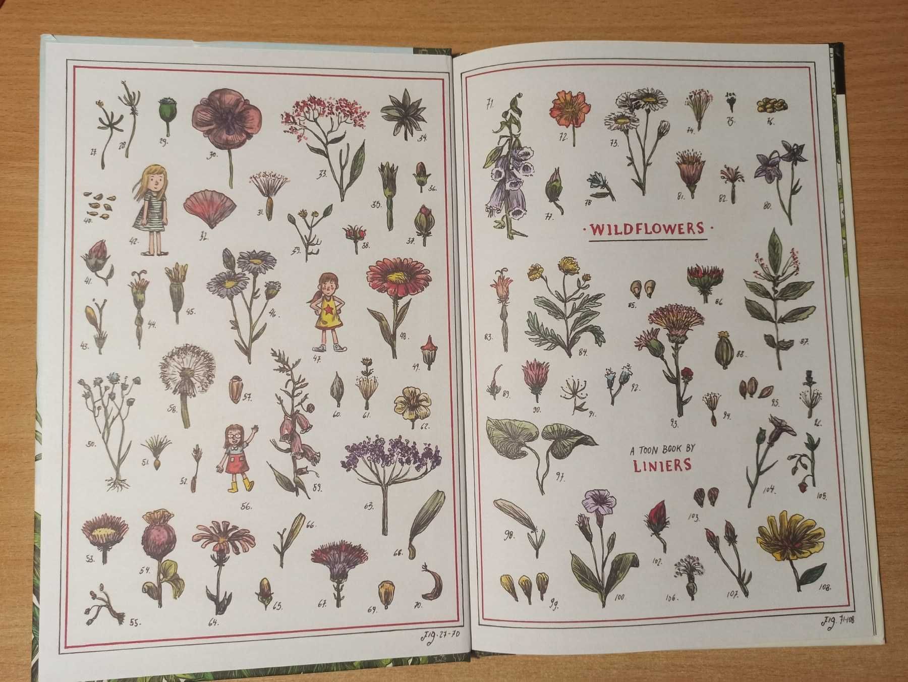 Комікс дитячий WILDFLOWERS  для вивчення англійської. Книга