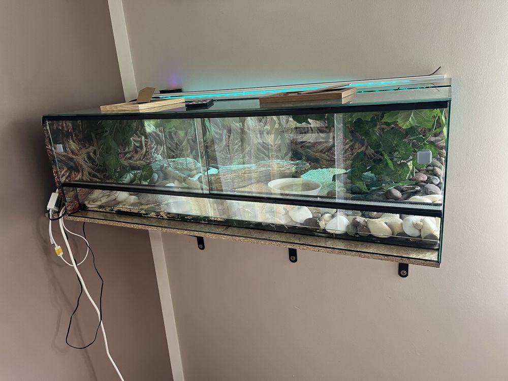 Terrarium  dla węża