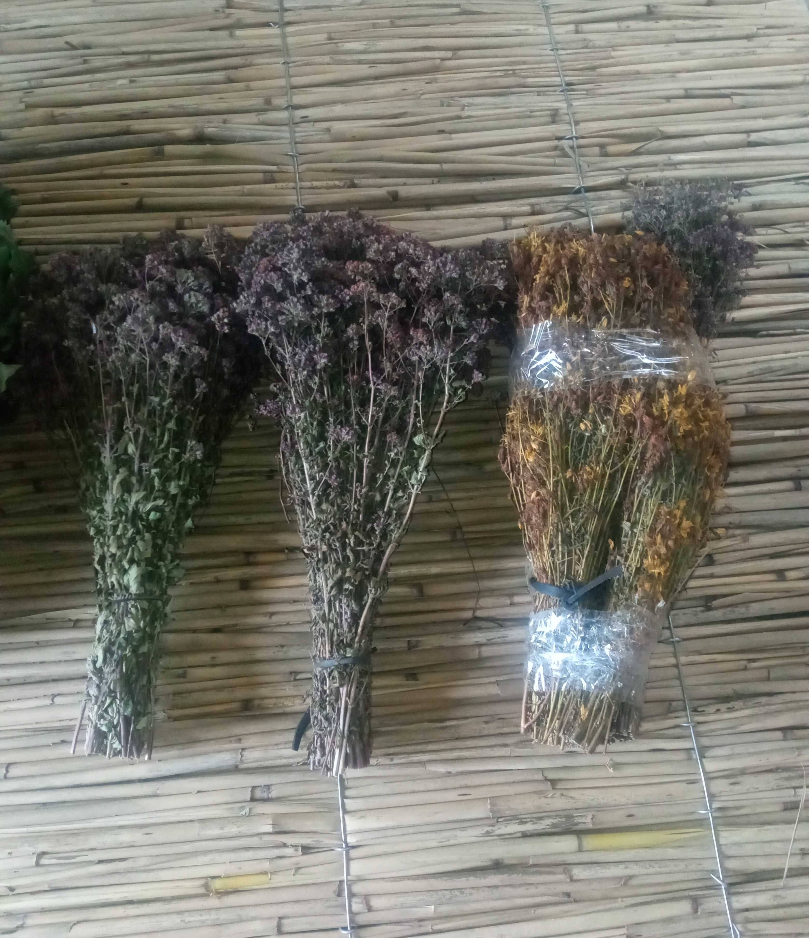 Віники та трави для парілки сауни бані