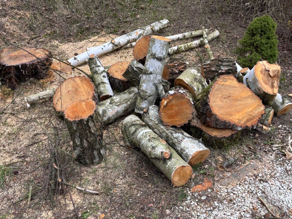 drewno opałowe pocięte