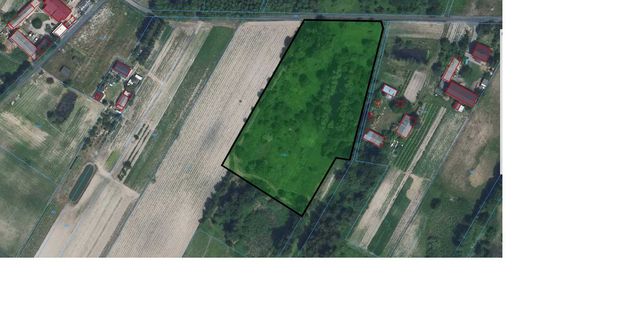 Działka rolna budowlana Rozkopaczew pow. 1.07 ha
