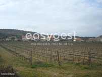 Terreno agrícola situado no douro vinhateiro Vila Nova De Foz Côa