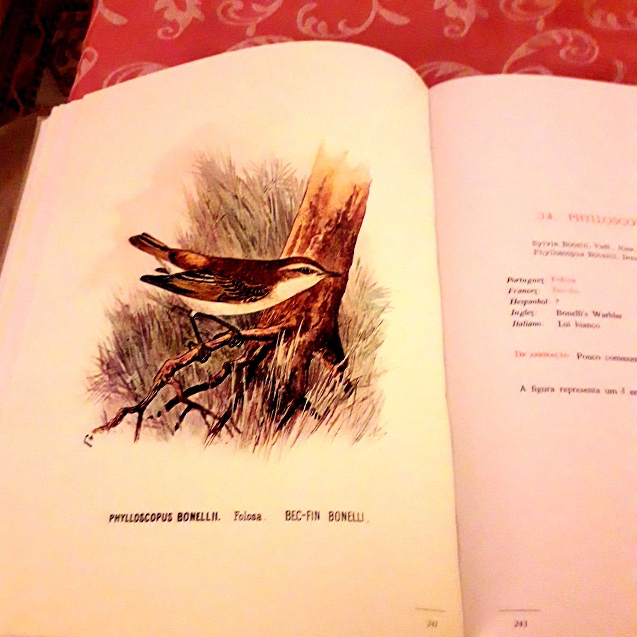 Aves de Portugal Vol. 1, 2 e 3 - D. Carlos Bragança (IN e Aquário VG)