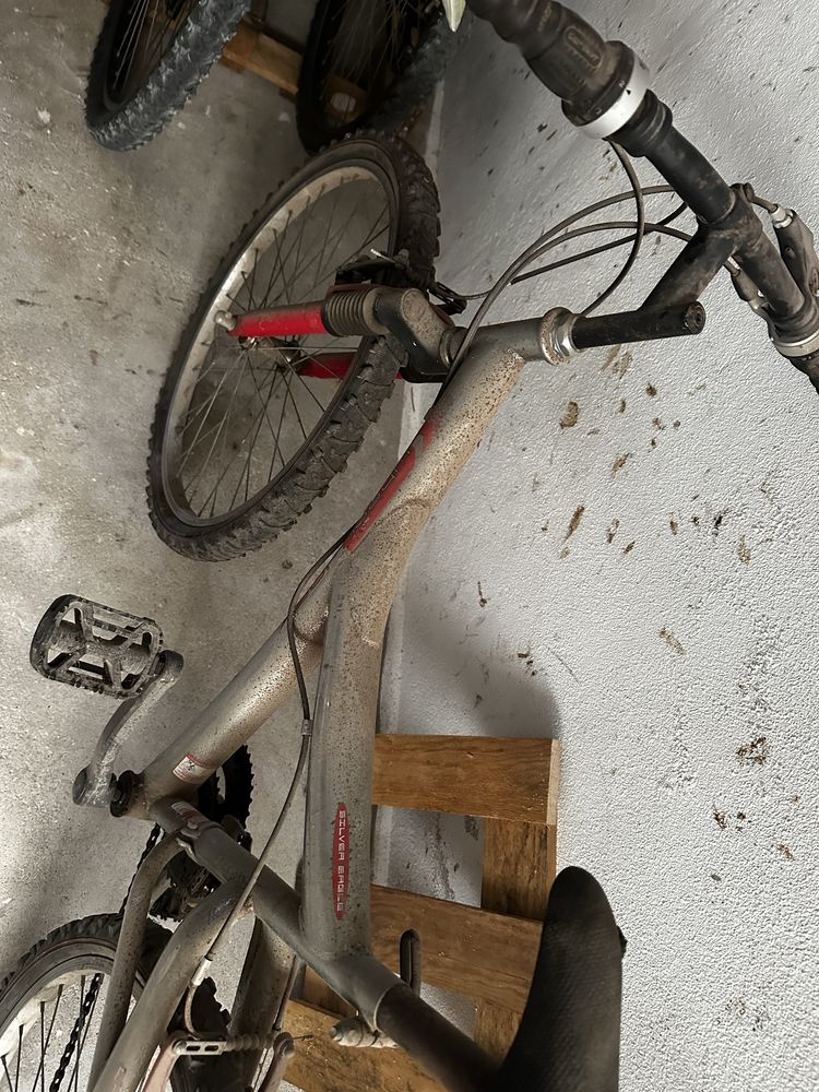 Bicicleta crianca