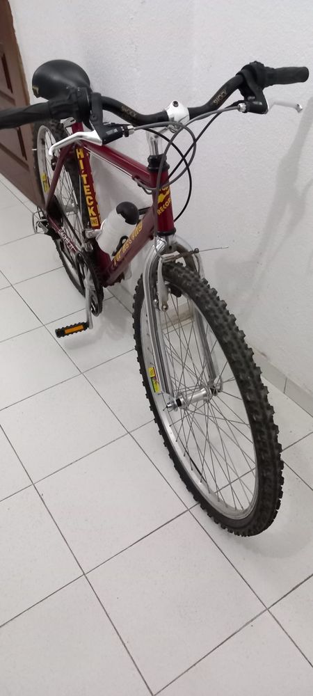 Bicicleta a mudanças Sachs