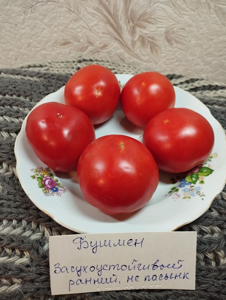 Семена  томатов и огурцов