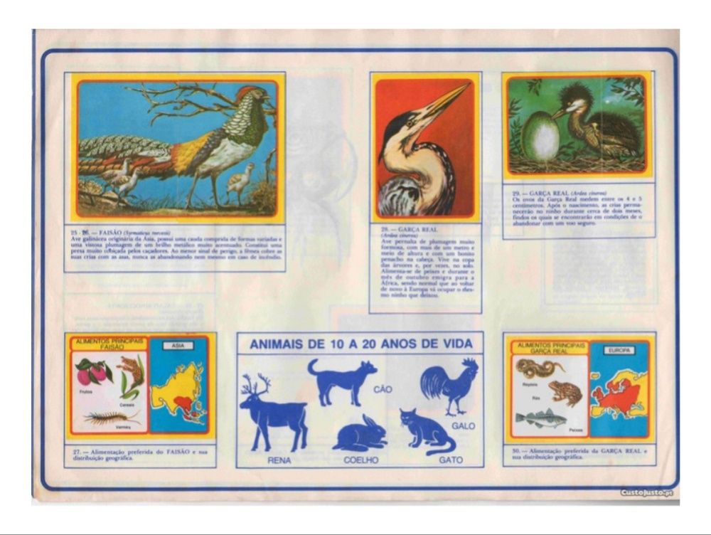 Cromos - Animais e suas crias