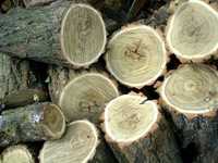 Продам дрова Акація колота та цурками