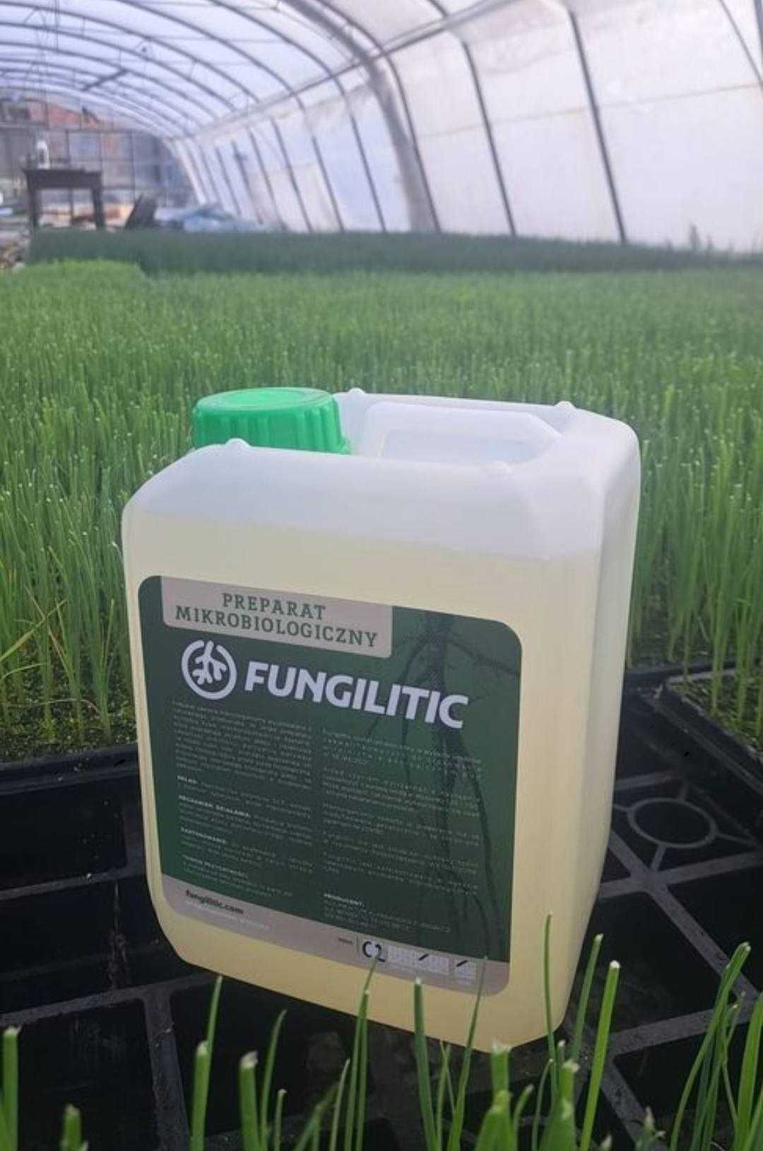 FUNGILITIC - Fusarium, nicienie, kiła kapustnych, zgnilizna cebuli