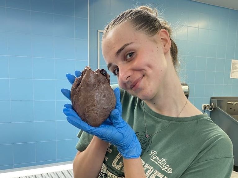 korepetycje - chemia, biologia, przygotowanie do matury