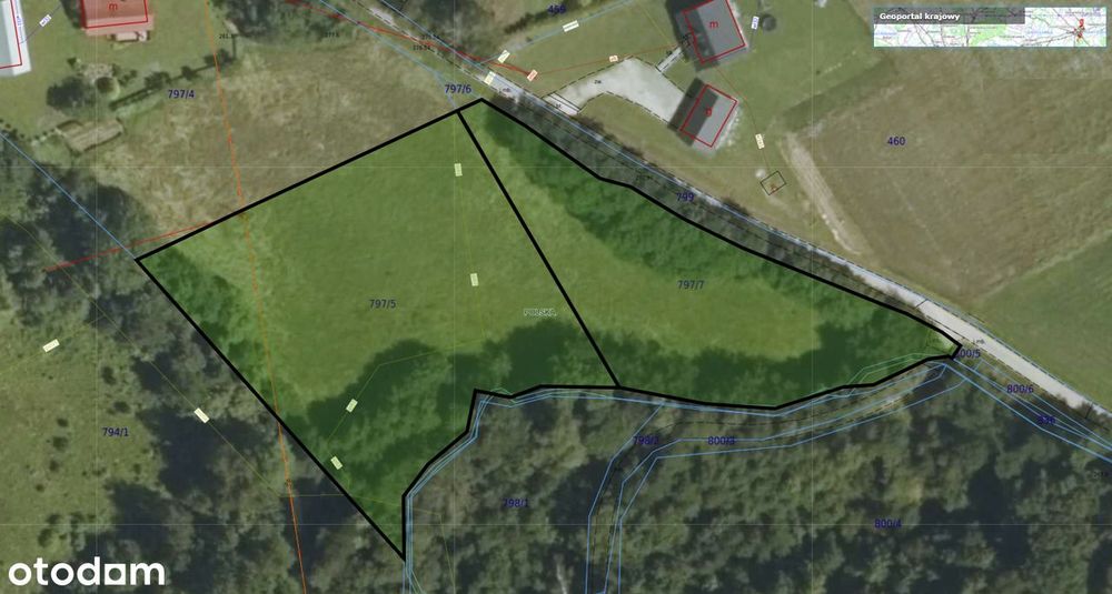 Chronów • duża działka • spokojna okolica • 56 ar