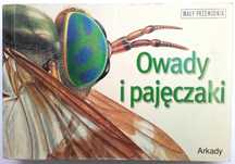 Owady i pajęczaki Mały przewodnik - Noel Tait album książka dla dzieci
