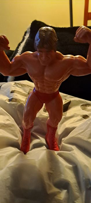 Mr Wonderful Paul Orndoff