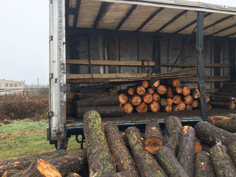 Распродажа дрова недорого