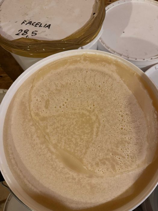 Miód w wiadrach z własnej pasieki. Hurt