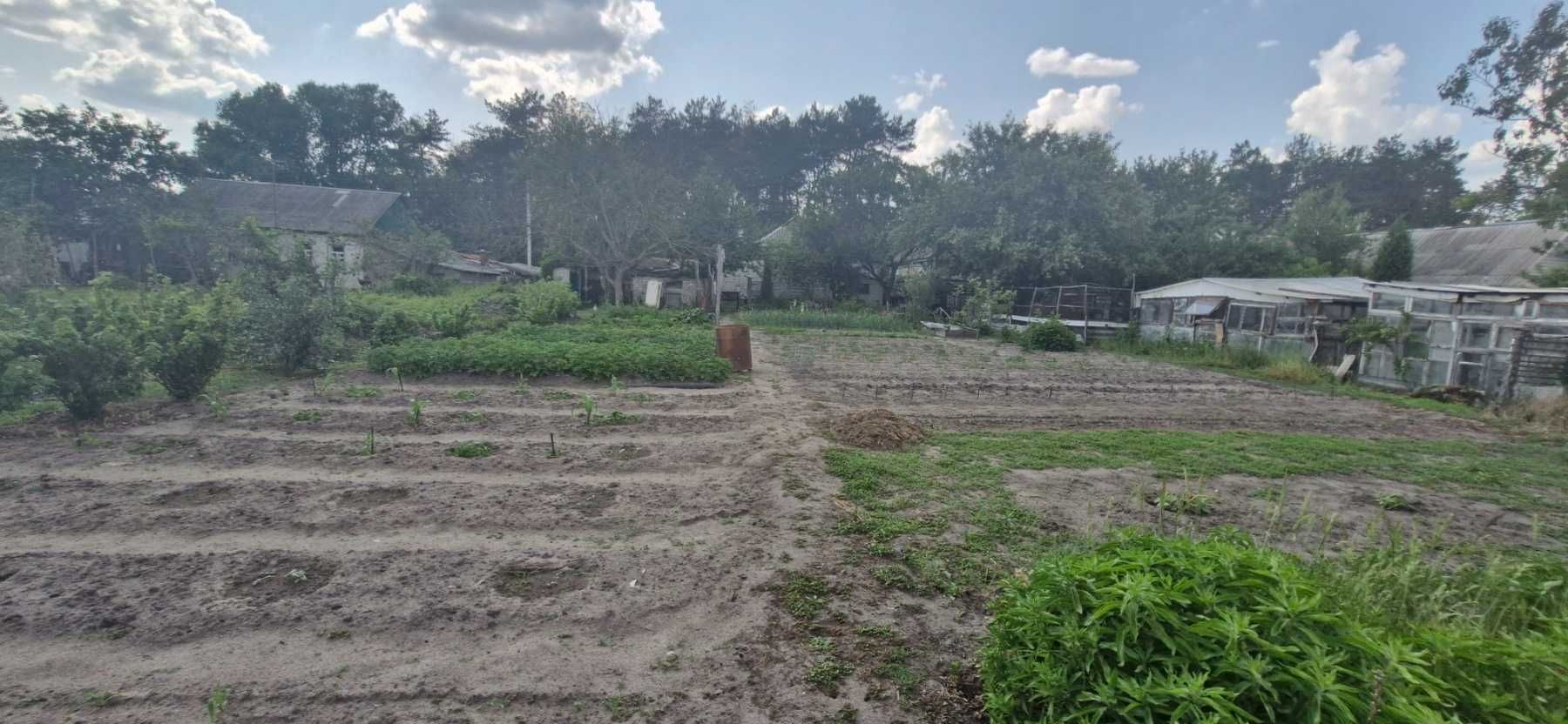 Екслюзив! Продам дом 54 м2 (Основа, Жихорь, Гуты) 10 сот земли