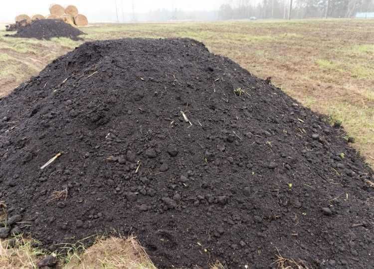 Miejsce na ziemię
