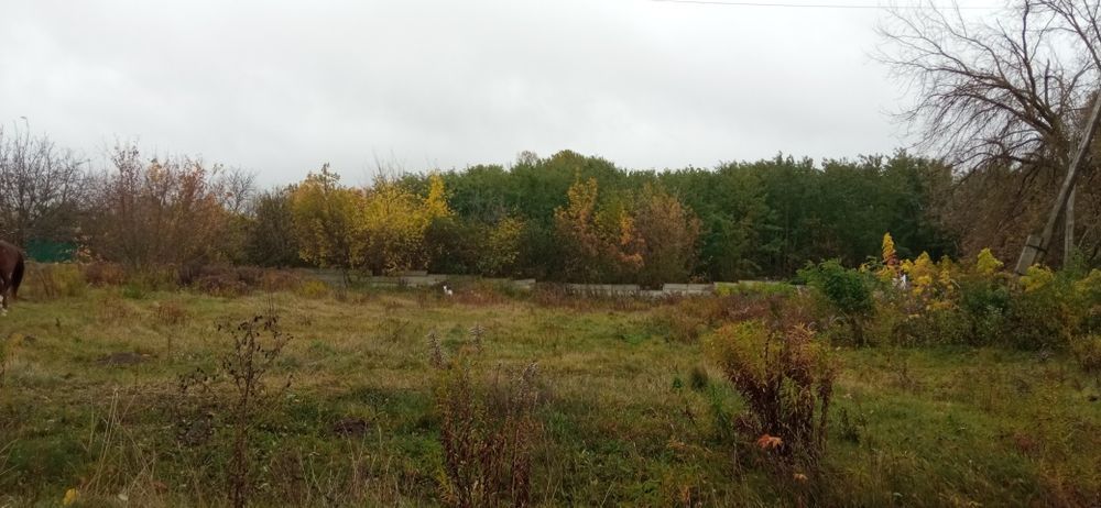 Продається земельна ділянка