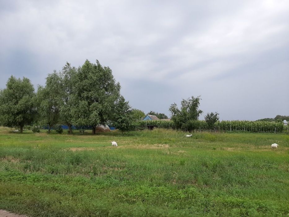 Продам дом в г.Березань, Киевская обл.