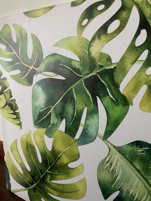 Varias molduras decoracao