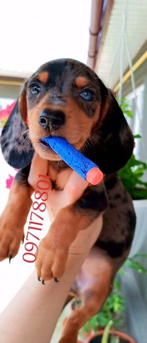 Мраморна дівчинка, та хлопчики мраморні