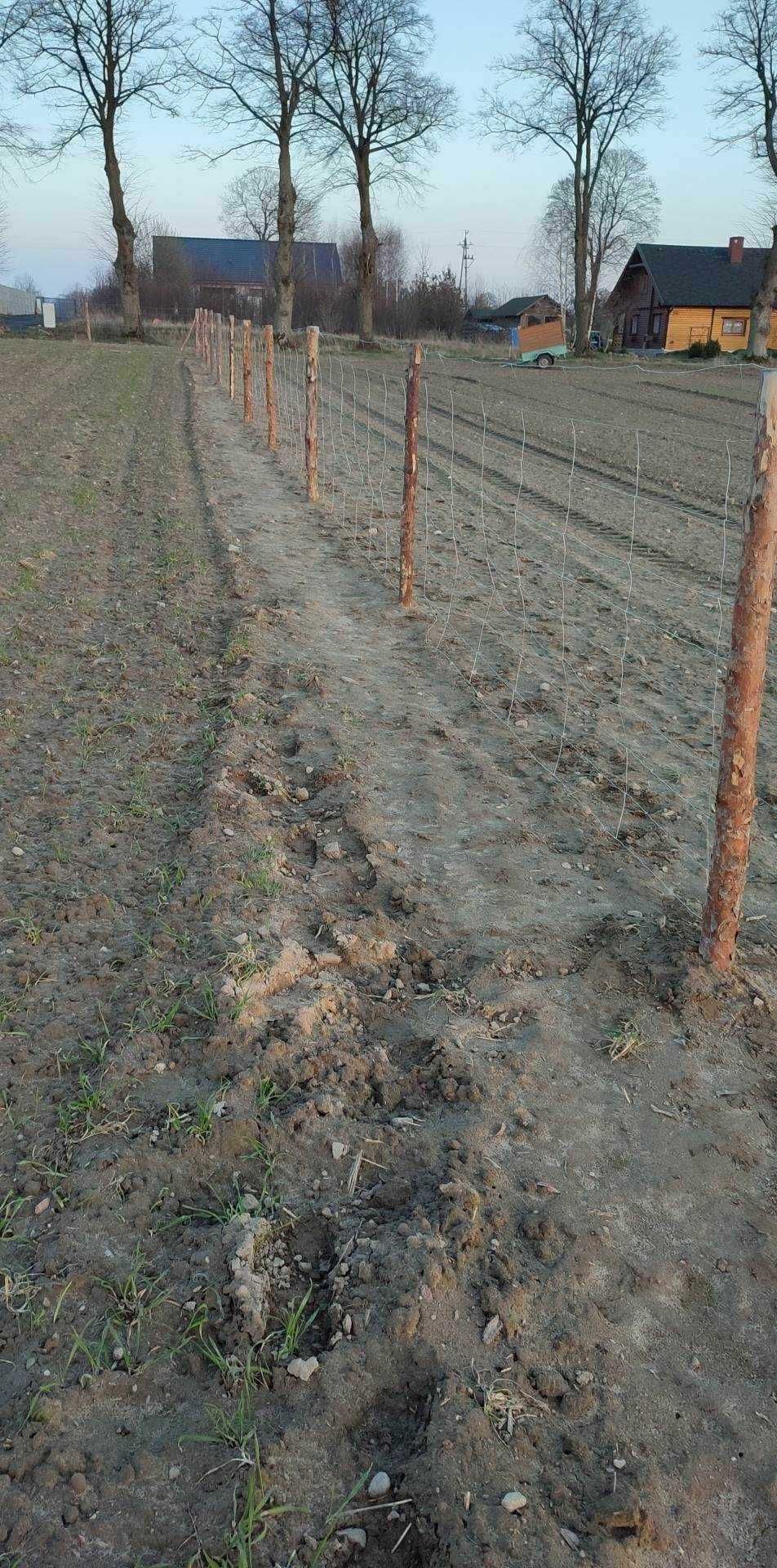 Działka budowlana Skrzatusz k. Piły/spokojna okolica/media w drodze