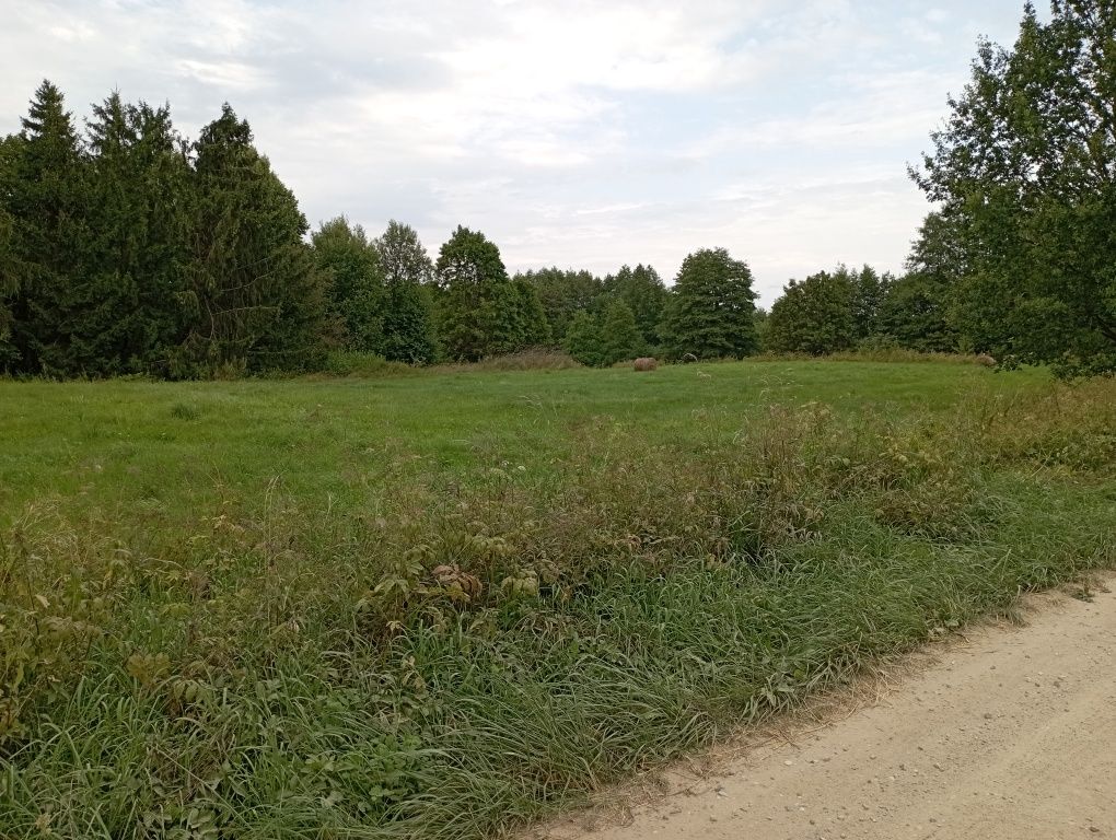 Sprzedam działkę