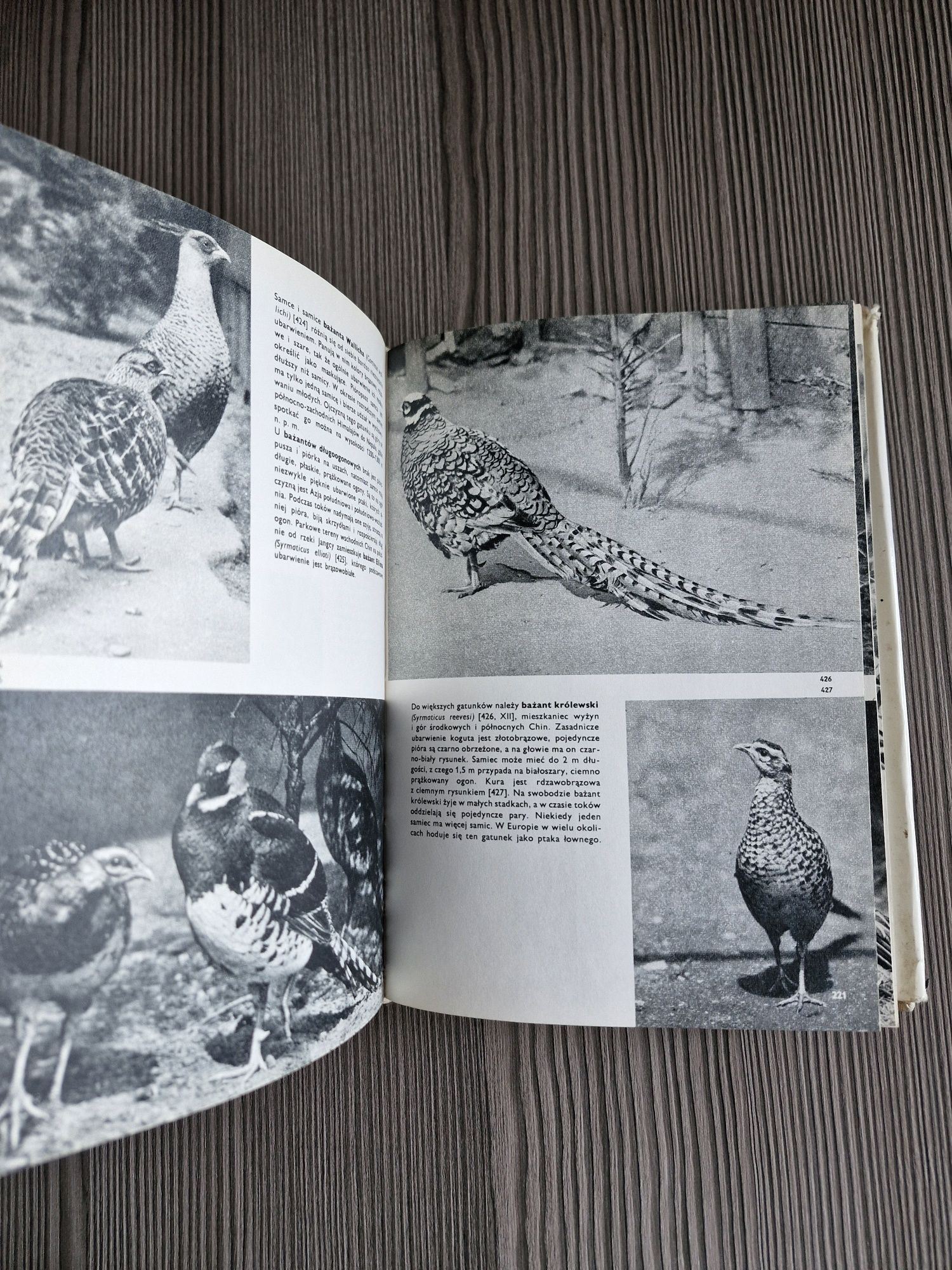 6128. "Wielki atlas ptaków" J.Hanzak