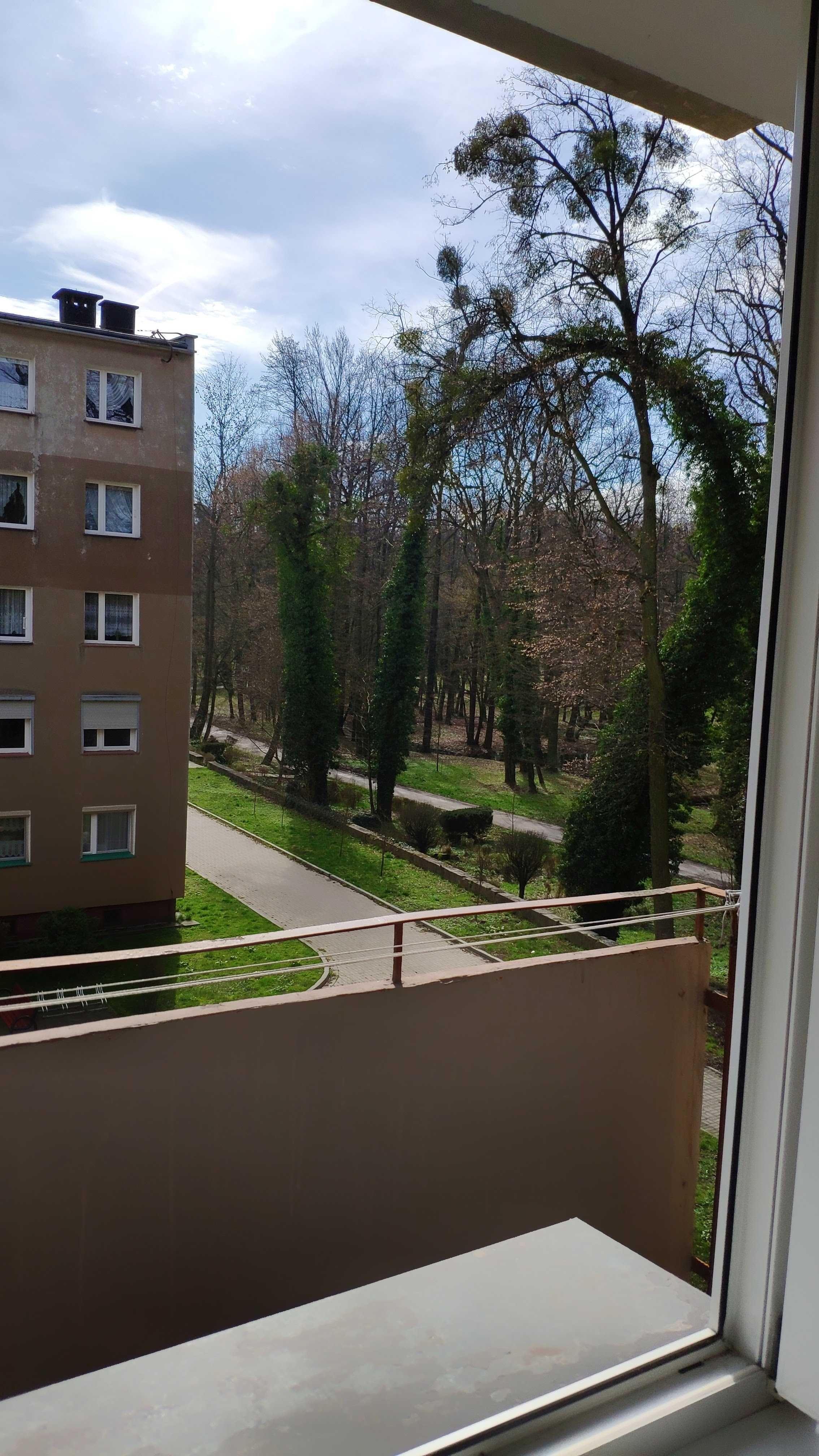 Mieszkanie do wynajęcia 2 pokoje - cicha okolica - Strzelce Opolskie