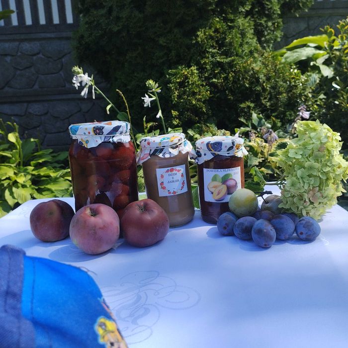 Domowe ekologiczne przetwory