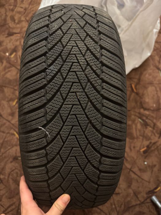 radial tubeless 205 55 г16