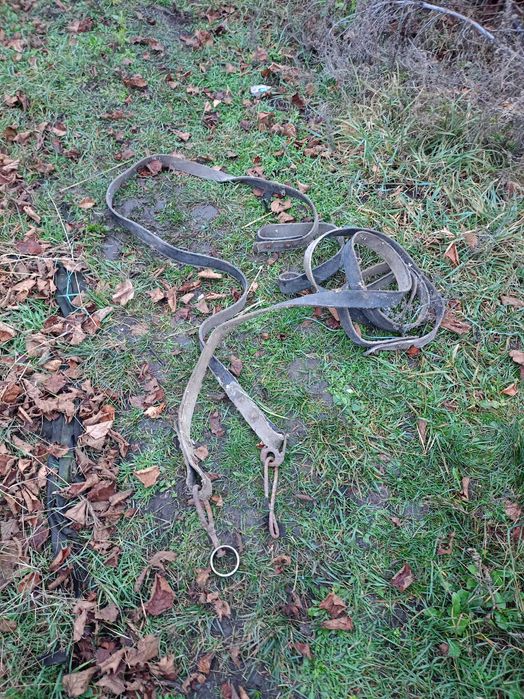 Привязь упряж поводок