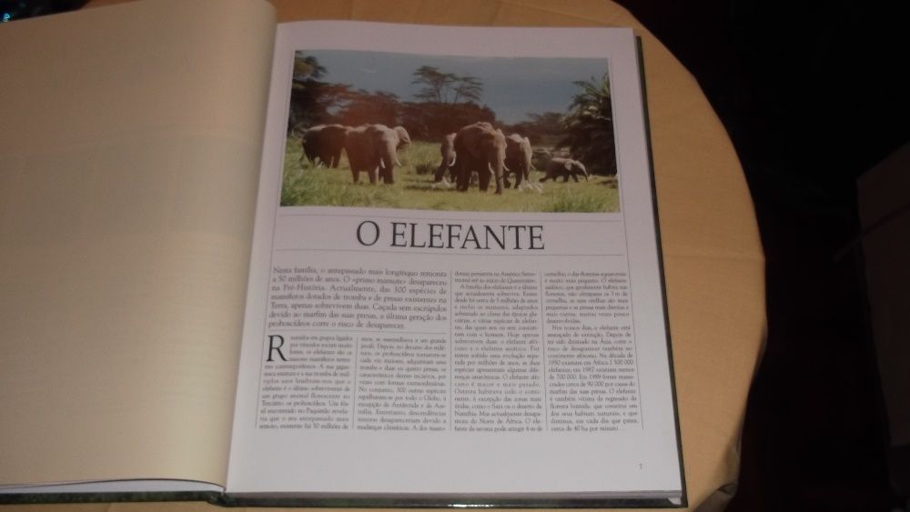 livro Vida Salvagem Animais da Savana