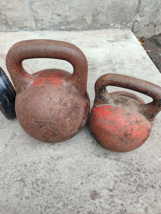 Гирі гантелі по 16 кг