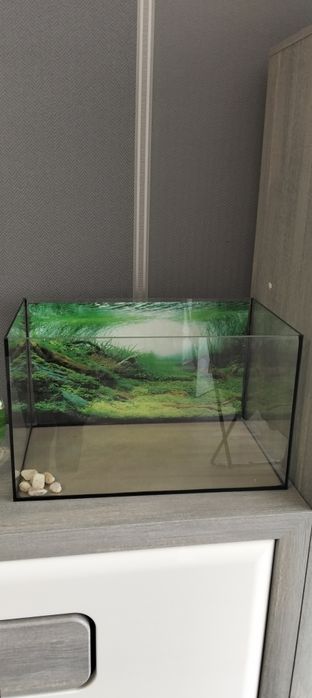 Nowe akwarium 50x30