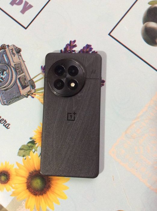 OnePlus 13 12/256