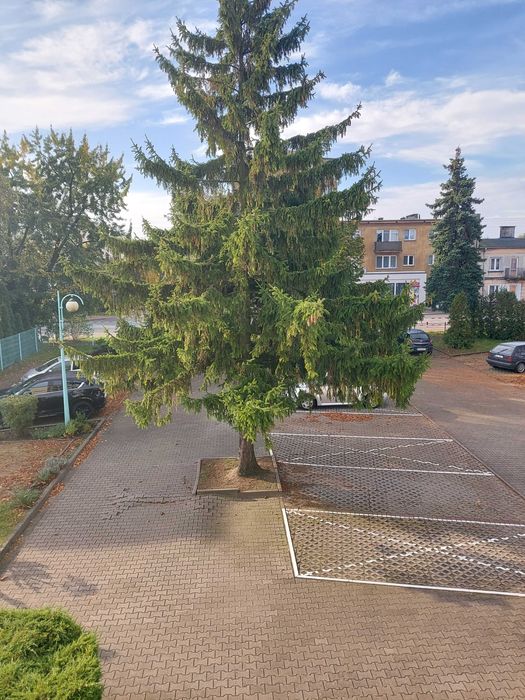 Mieszkanie na wynajem. Koło, ul. Kolejowa oraz miejsce postojowe.