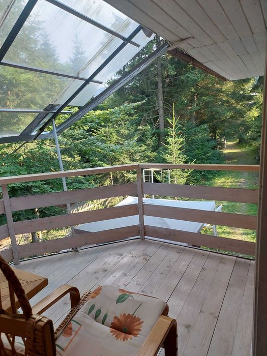 Котедж, будинок в Карпатах Татарів 2-6 осіб