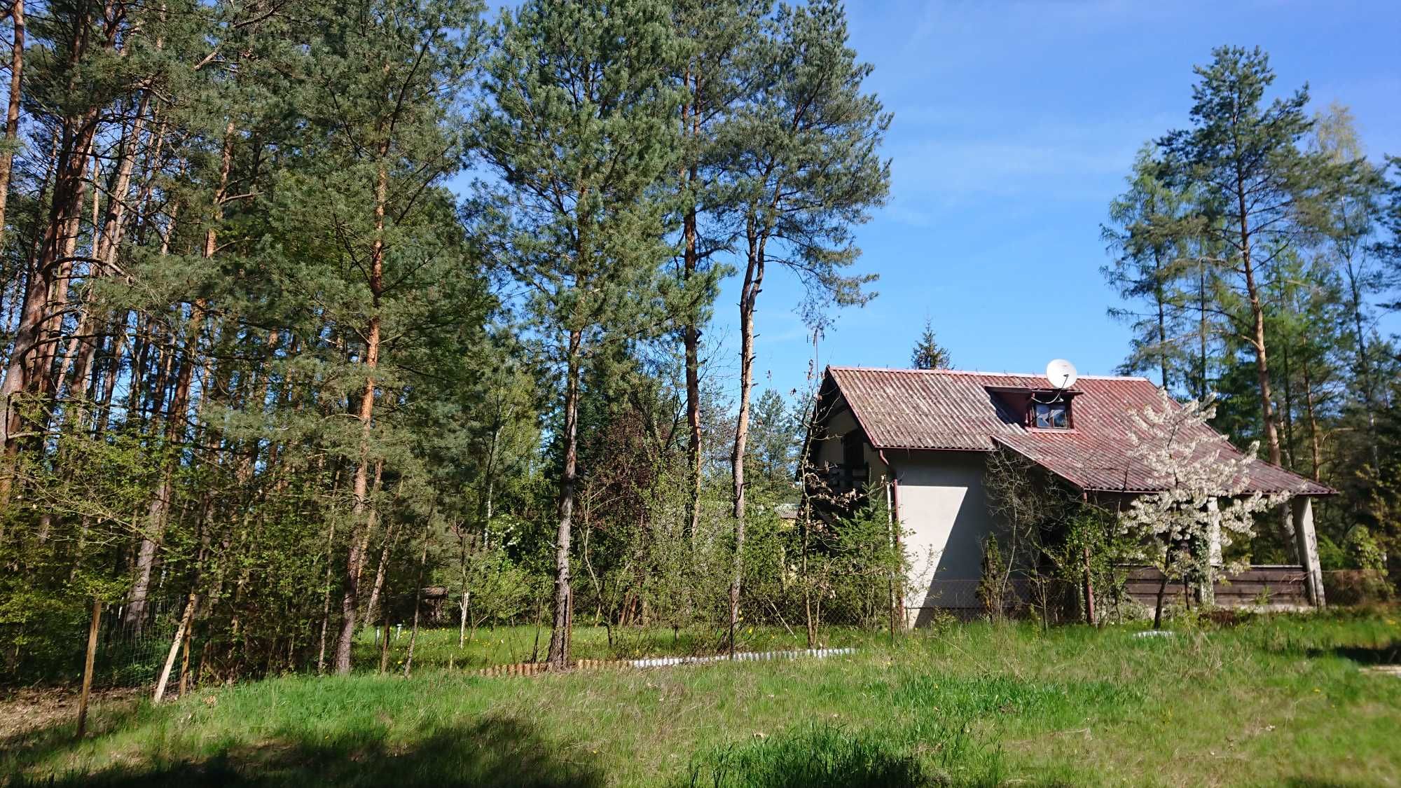 Domek letniskowy, jeziora, lasy, Sławica-"Puszcza Zielonka" do 6-8os
